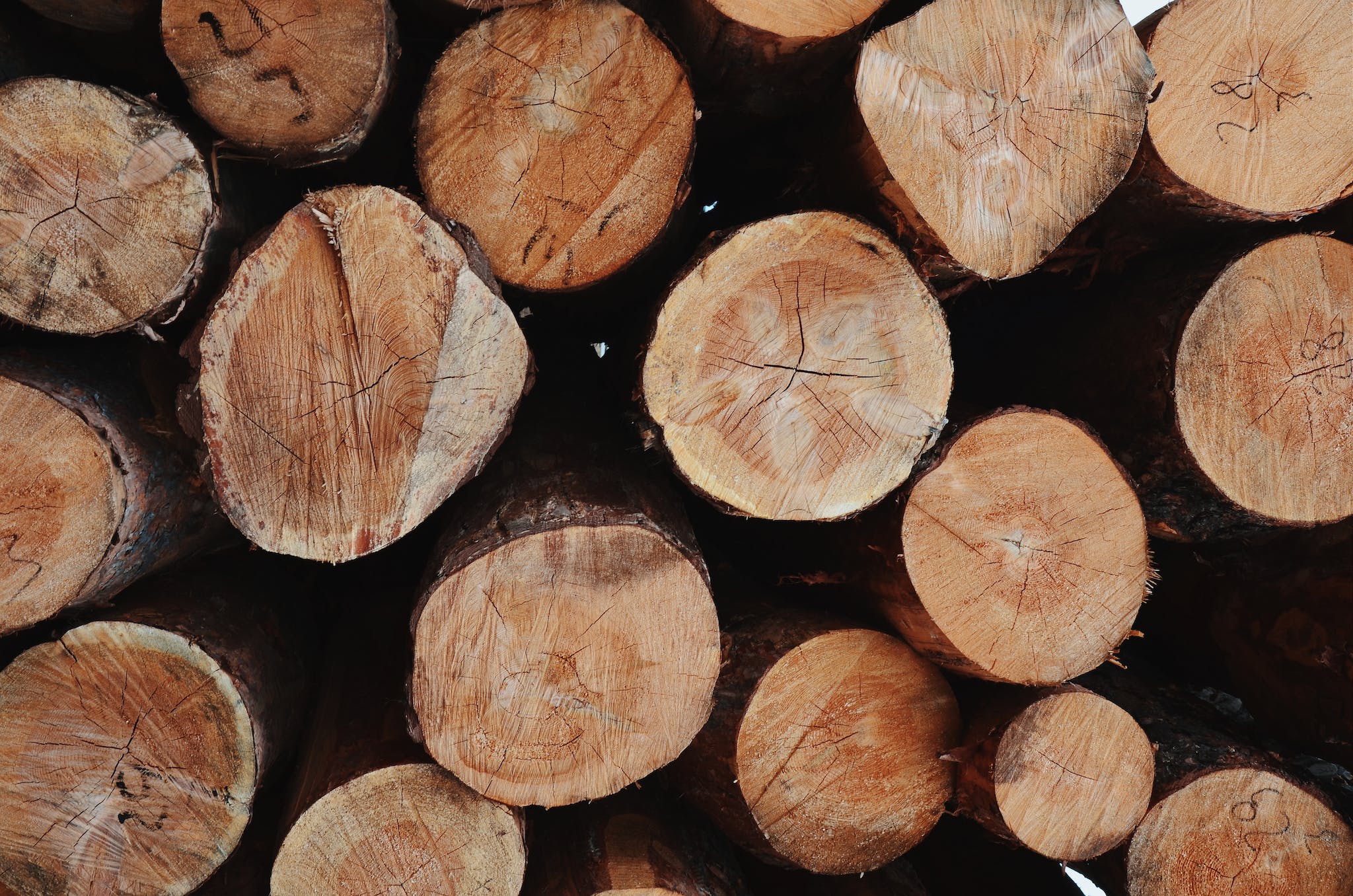 Photo of Pile Of Chopped Woods
